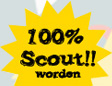 100% Scout